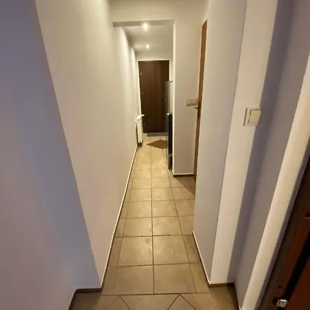 Niutek Guest house Wisla