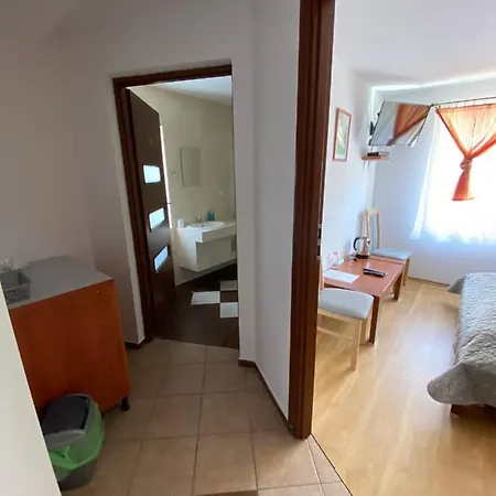 Niutek Visla